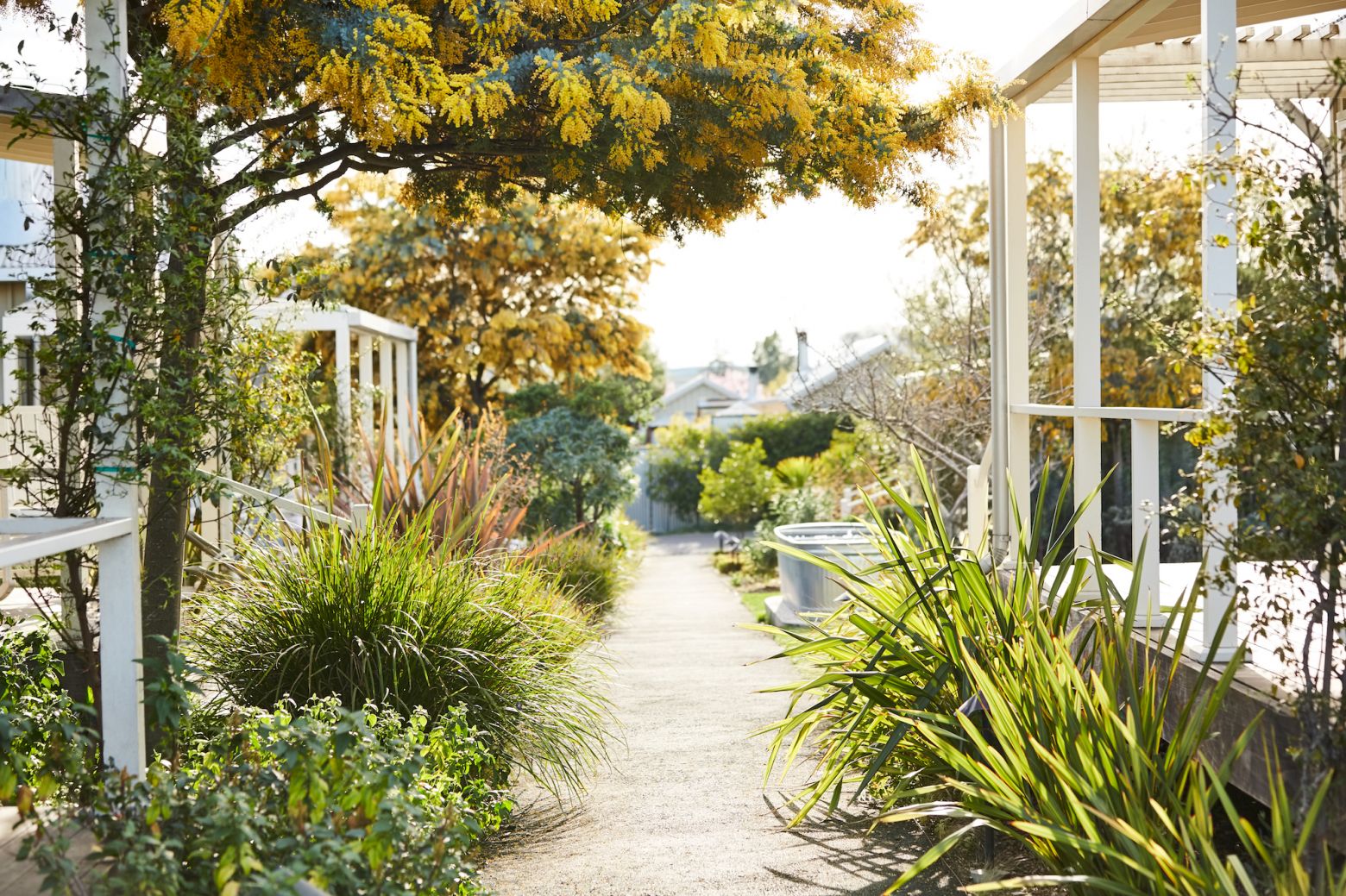 Garden pathway